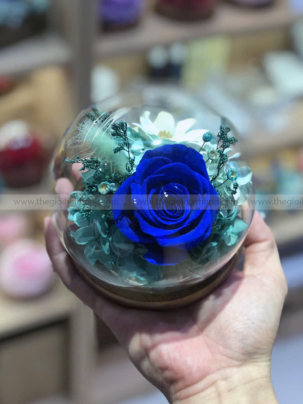 Tặng Hoa Hồng Xanh Bao Nhiêu Bông?