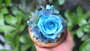 Top 5 Lý Do Hoa Hồng Xanh Là Món Quà "Đốn Tim" Người Nhận Ngay Từ Cái Nhìn Đầu Tiên