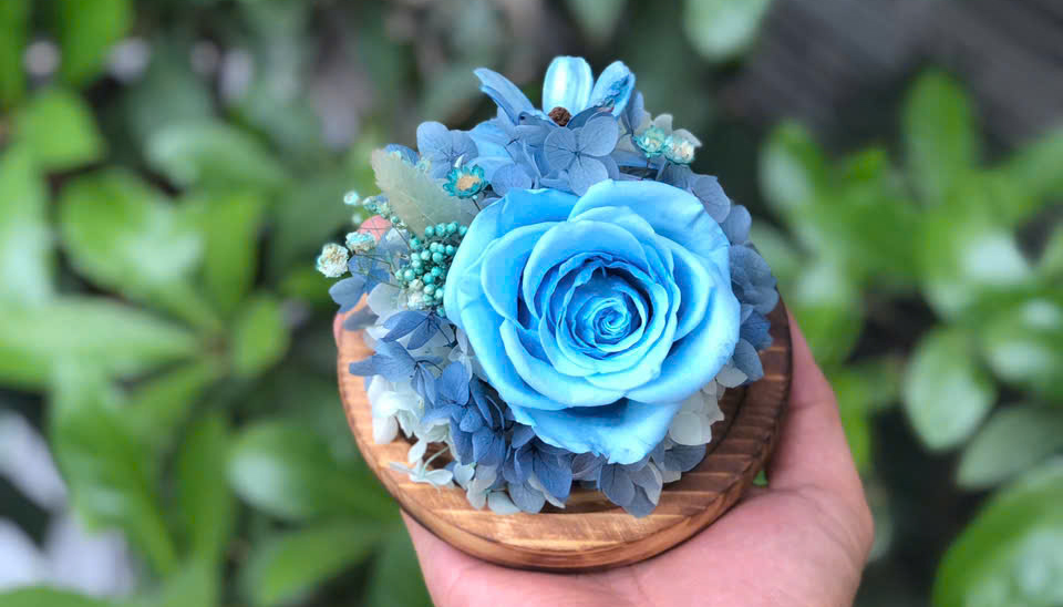 Top 5 Lý Do Hoa Hồng Xanh Là Món Quà "Đốn Tim" Người Nhận Ngay Từ Cái Nhìn Đầu Tiên