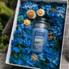 Hộp Quà Nến Thơm Yankee Candle Beach Walk Size & Hoa Khô