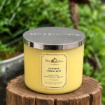 Nến Thơm Bath & Body Works Sugared Lemon Zest 3 Bấc