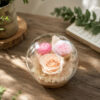 Rosé Whisper – Cầu Thủy Tinh Hoa Hồng Vĩnh Cửu
