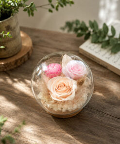 Rosé Whisper – Cầu Thủy Tinh Hoa Hồng Vĩnh Cửu