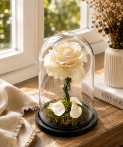 Chụp Thủy Tinh Hoa Hồng Vĩnh Cửu - Bella Mini White