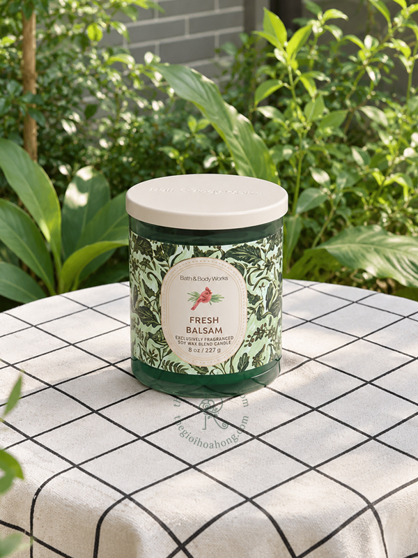 Nến thơm Bath And Body Works Fresh Balsam 1 bấc